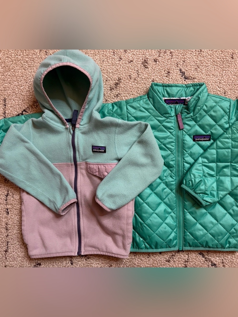 Patagonia fleece jacket and puffer (3T) EUC